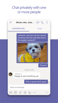 Microsoft Teams screen 2