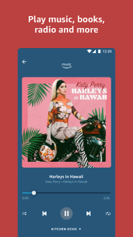 Amazon Alexa screen 2