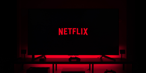 Image for article 'Netflix Takes Away Staff From Its Fansite'