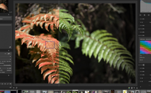 Microsoft Fixes aCropalypse Flaw in Windows 10 & 11 Screenshot Tools main image